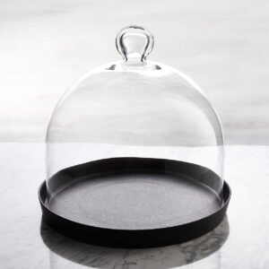 NS BAIRD COVERED SERVER