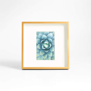 BRUSHED BRASS FRAME 4X6