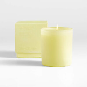 CITRON 1 WICK CANDLE