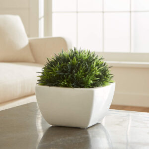 POTTED MOSS IN WHITE POT